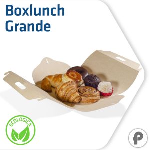 Boxlunch para pan